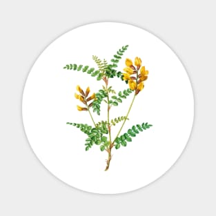 Yellow Flowers Magnet